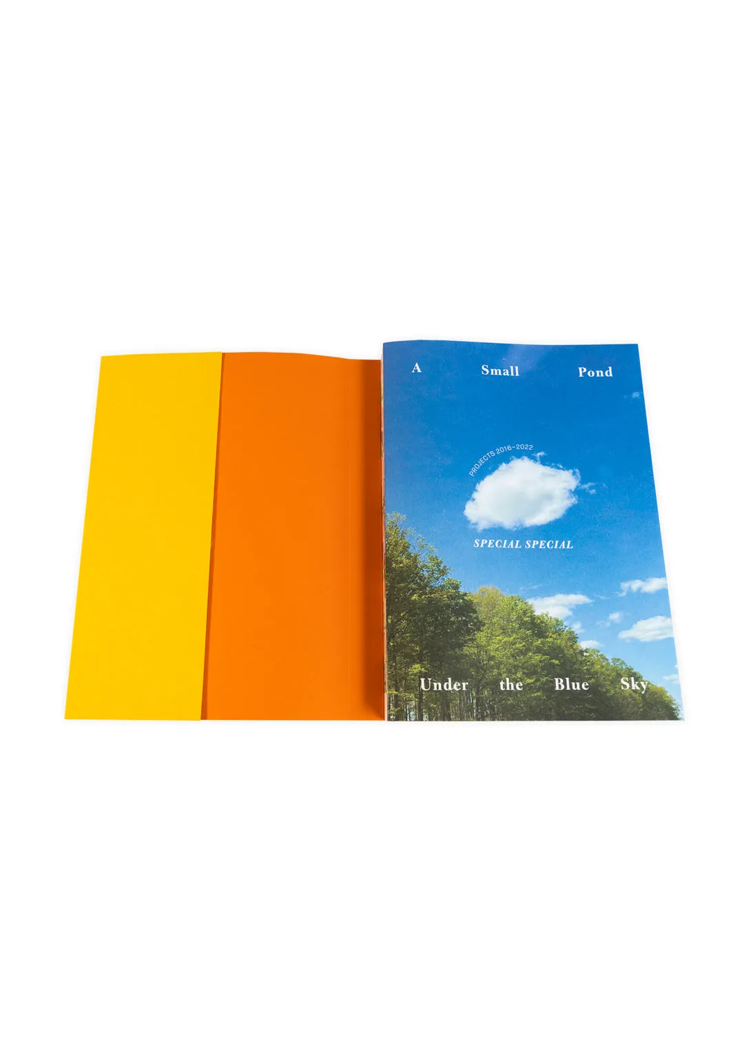 A Small Pond Under the Blue Sky