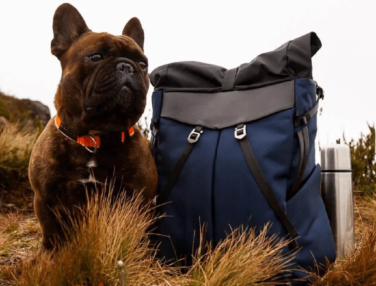 ANTI-THEFT SPEED BACKPACK by The Frenchie Co